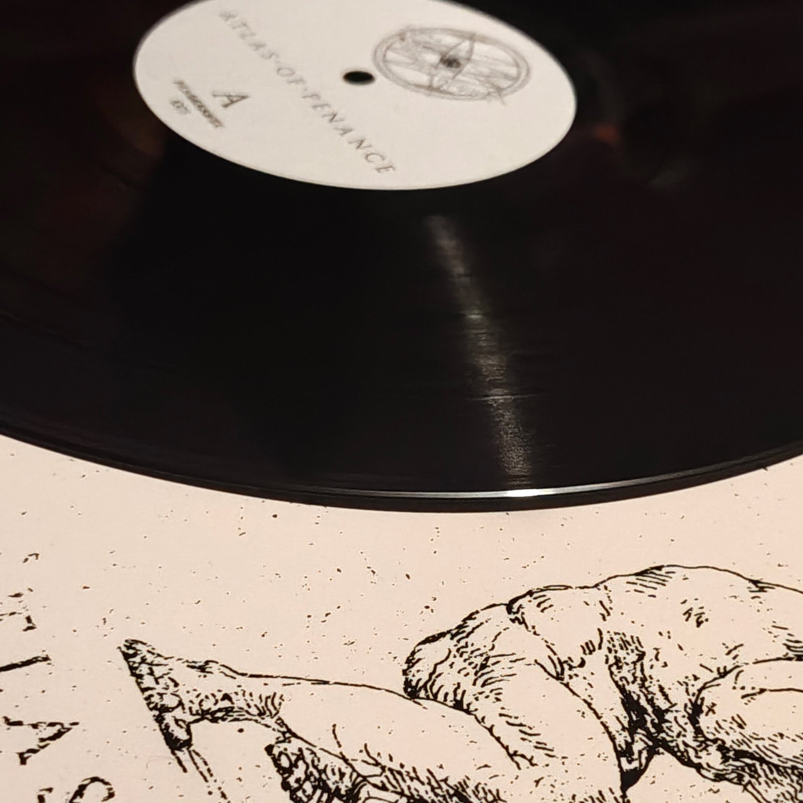 Vinyl