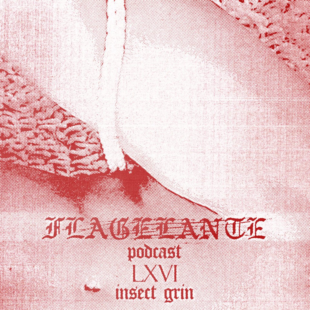 CHAPTER LXVI: INSECT GRIN